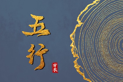 看紫微斗数_紫微算流年运势_八卦命盘查询_紫薇星命盘解读_紫薇排盘免费